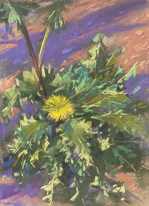 Is it a Weed or a Flower? by artist julia fletcher